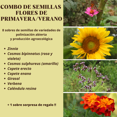 COMBO FLORES DE PRIMAVERA/VERANO