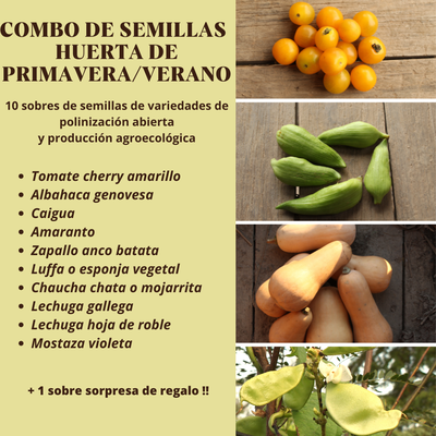 COMBO HUERTA DE PRIMAVERA/VERANO