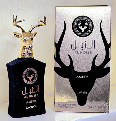 Ameer