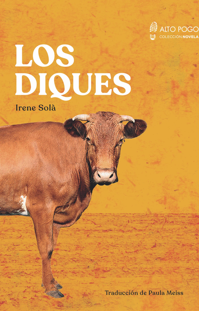 Los diques - Irene Solá