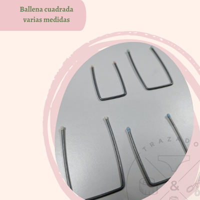Ballena cuadrada