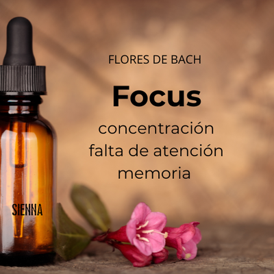 Flores de Bach FOCUS-para mejorar la atención, el enfoque y la memoria