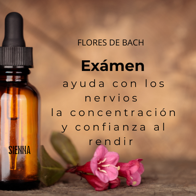 Flores de Bach EXAMEN-para rendir exámenes sin nervios ni bloqueo mental