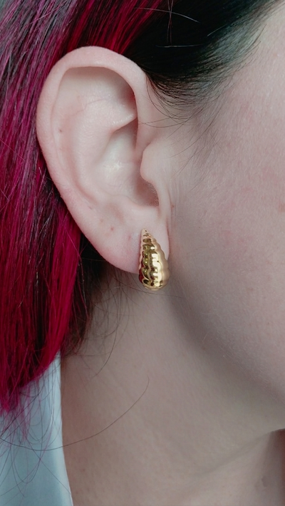 Aros Gota Boreal