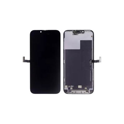 Modulo iPhone 13 Pro