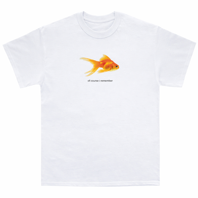 REMERA PEZ