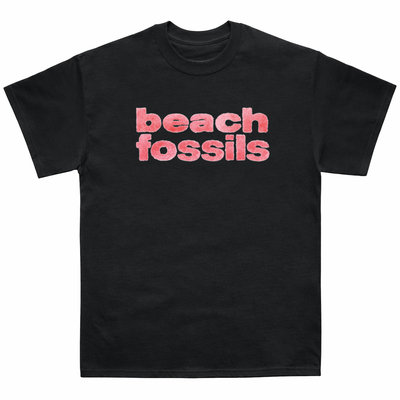 REMERA BEACH FOSSILS