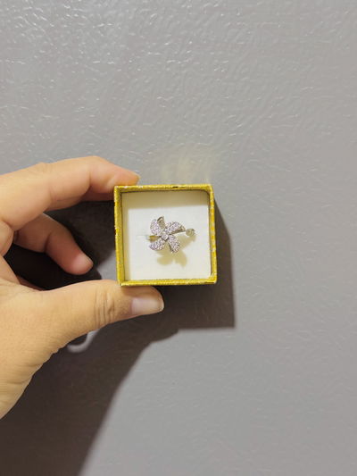 Anillos giratorios plateados 
