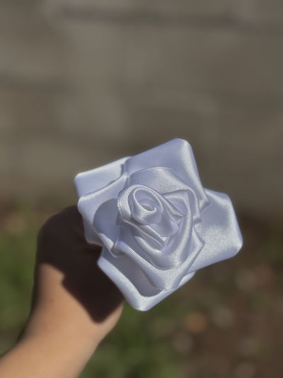Rosas eternas 🌹