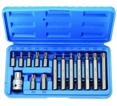Juego de puntas Torx 15 piezas – Ruhlmann