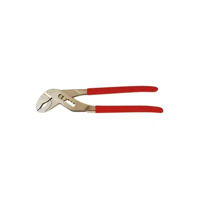 Pinza III (Pico de Loro) Rucci