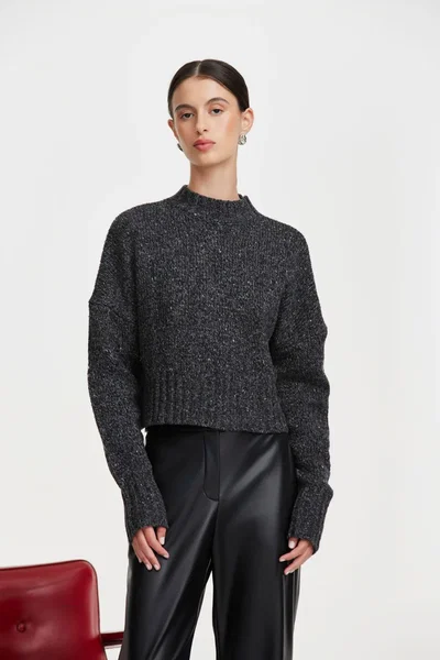 Sweater Alpino Ayres