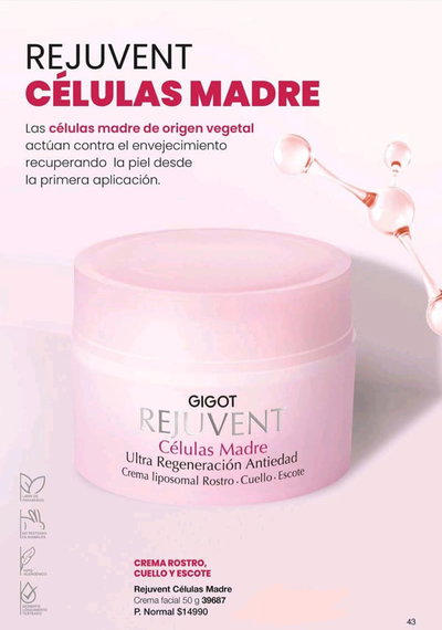 Rejuvent Células madres  