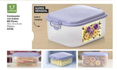 Contenedor con trabas 