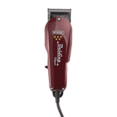 Wahl Balding