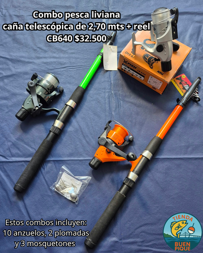 Caña Telescopica 2,70 + Reel + Accesorios