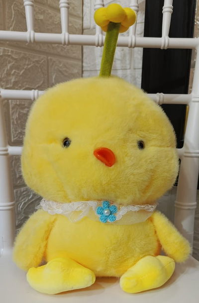 Pollito poi