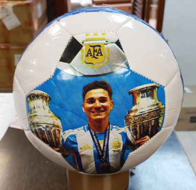 Pelota de futbol Nº 5 con Diseño afa Campeón del Mundo
