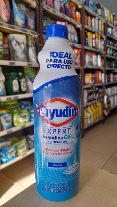 Ayudín Expert Lavandina en Gel x 700ml