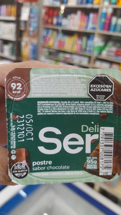 Deli Ser Postre de Chocolate x 95g