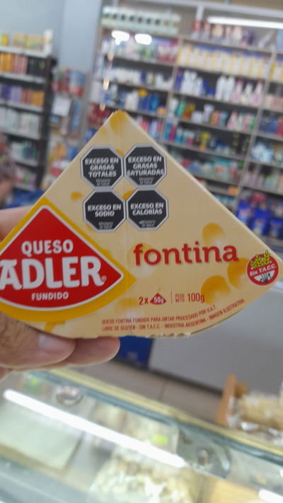 Adler Queso Fundido Fontina x 100g