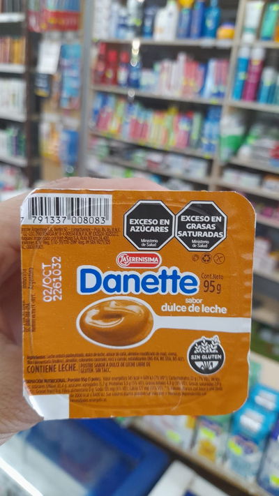 La Serenísima Danette Dulce de Leche x 95g