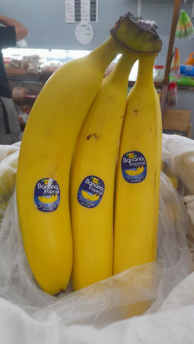 Bananas Frutas x 1K