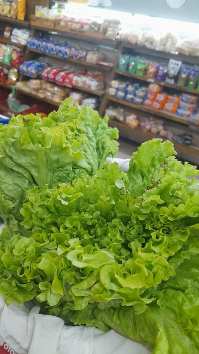 Lechuga Verduras x 1k