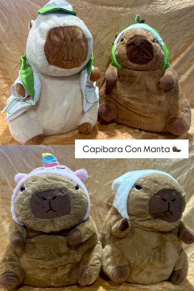 Capibara con manta