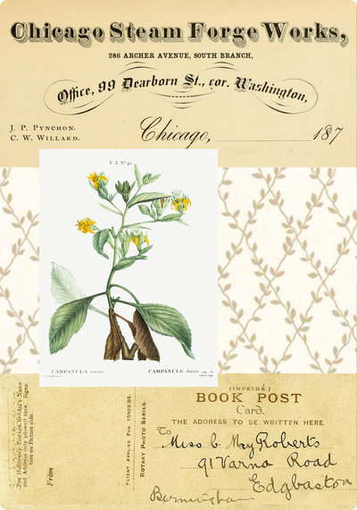 Set de 8 Papeles Flores Amarillas