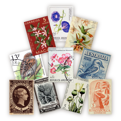 Set de 7 Papeles Carte Postale + Troquelados Estampillas