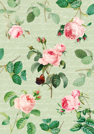 Set de 8 Papeles Perfume de Rosas