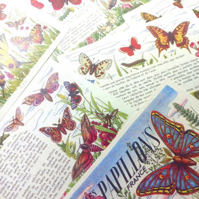 Mini Láminas Mariposas Vintage Francesas