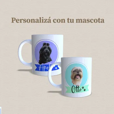 Taza de cerámica personalizada con tu mascota sublimada (fondo color)