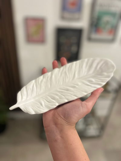 BANDEJA PLUMA