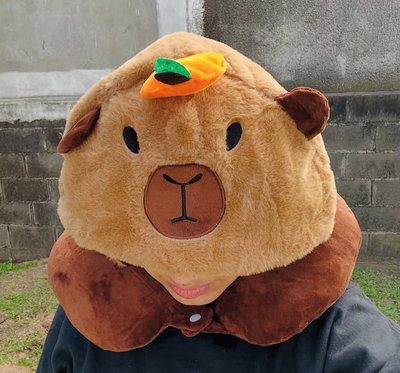 Gorro tapa Ojos y Almohadilla de viaje CAPIBARA