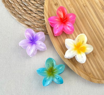 Traba cabello Flor HAWAII (6cm)