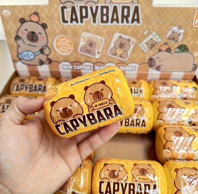 Valijita sorpresa CAPIBARA