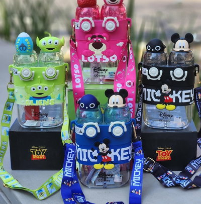 Botella doble pico DISNEY