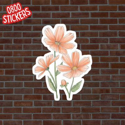 Flor del Cosmos Rosa