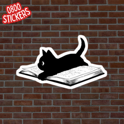 Gatito Negro Con Libro