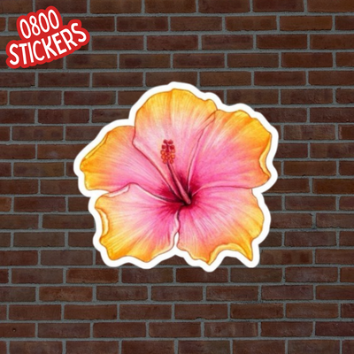 Flor de Hibiscus Rosa y Naranja