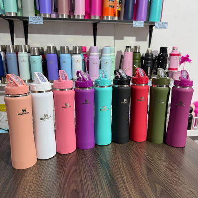 Botella Stanley común 500 ml