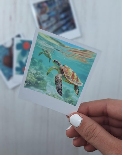 Polaroid mini 