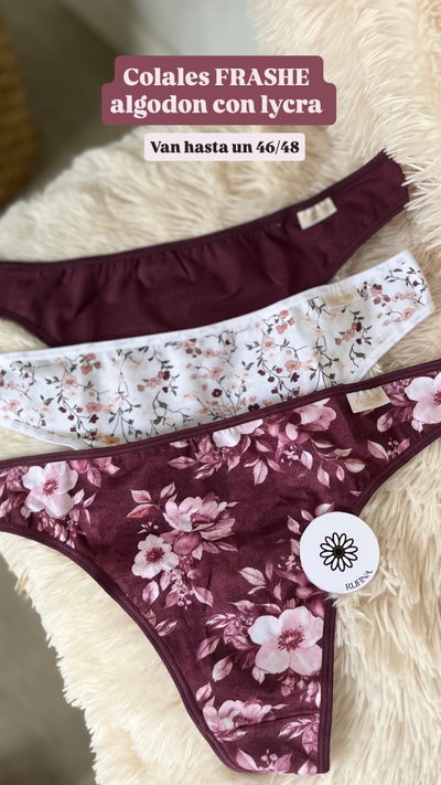 Colales FRASHE algodon XXL (X3)