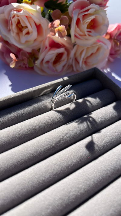 Anillo Falange Indra