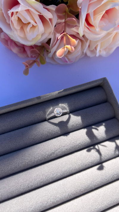 Anillo Elison