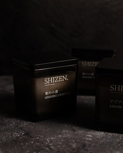 Cubo Gris - Rippōtai Gurē