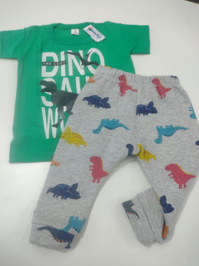 Conjunto dino 9/12 meses