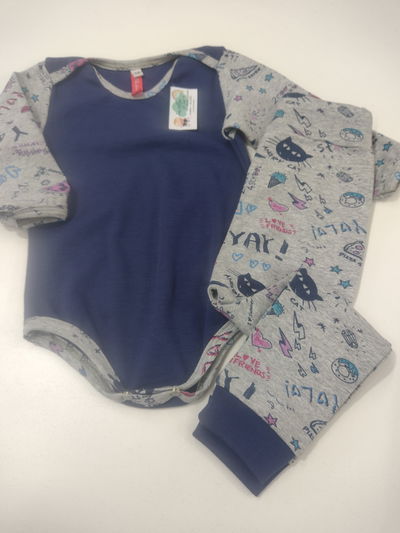 Conjunto 12 meses